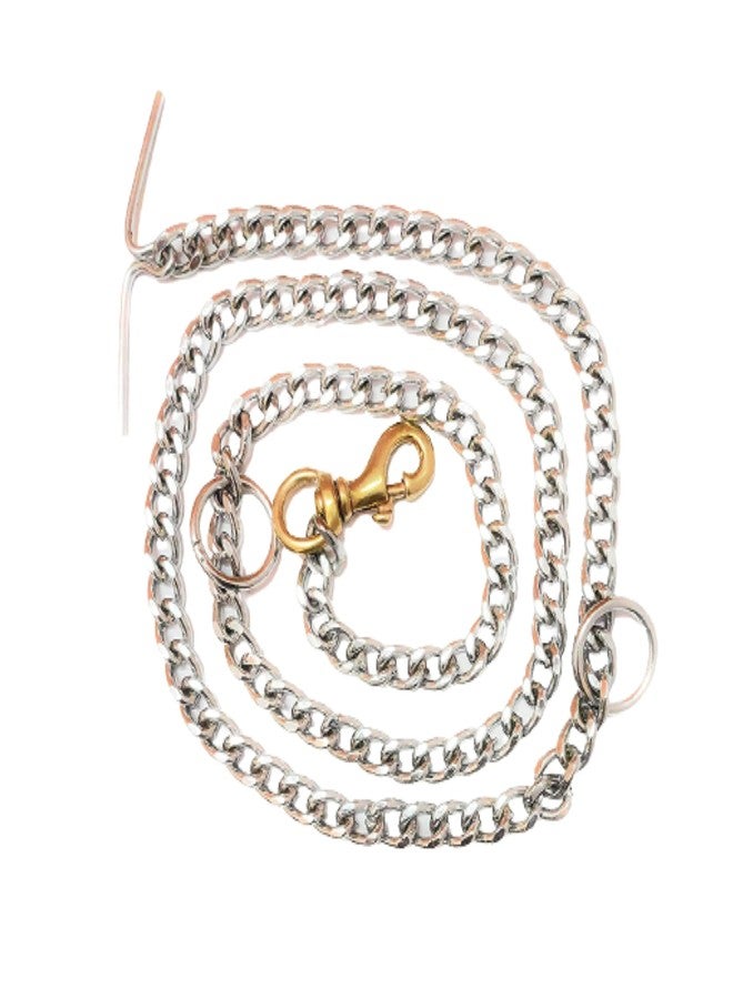 VetSafe Chain Leash - Image 3